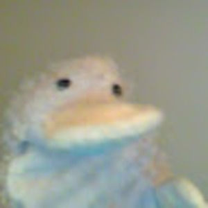 Meet your Posher, Adyra